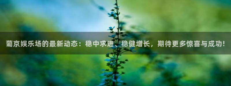 先锋娱乐：葡京娱乐场的最新动态：稳中求进、稳健增长，期待更多惊喜与成功!