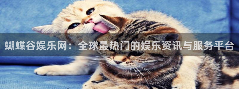 先锋娱乐公司：蝴蝶谷娱乐网：全球最热门的娱乐资讯与服务平台