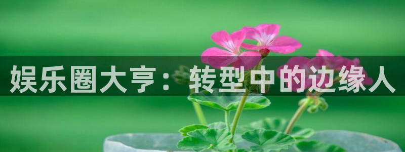 先锋娱乐：娱乐圈大亨：转型中的边缘人