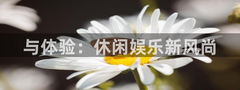先锋娱乐平台：与体验：休闲娱乐新风尚